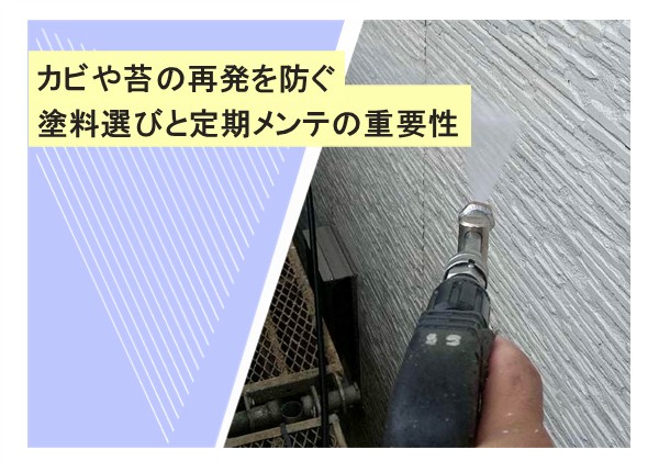 カビや苔の再発を防ぐ塗料選びと定期メンテの重要性
