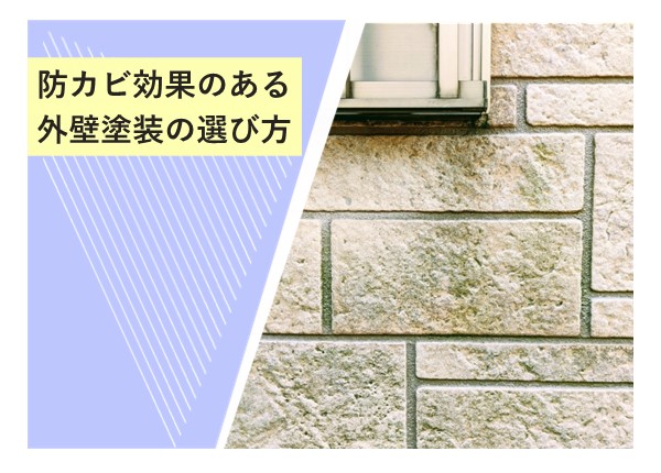 防カビ効果のある外壁塗装の選び方！カビに強い住まいを保つポイント