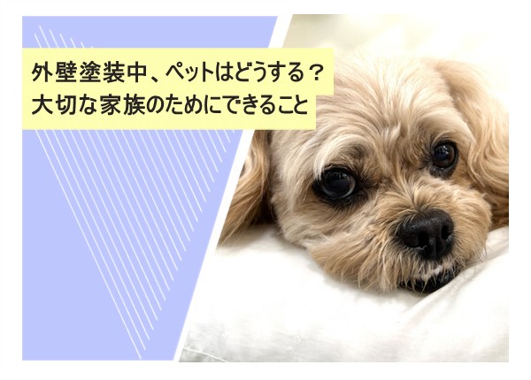 外壁塗装中、ペットはどうする？大切な家族のためにできること