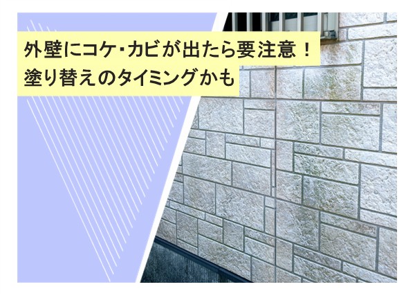 外壁にコケ・カビが出たら要注意！塗り替えのタイミングかも